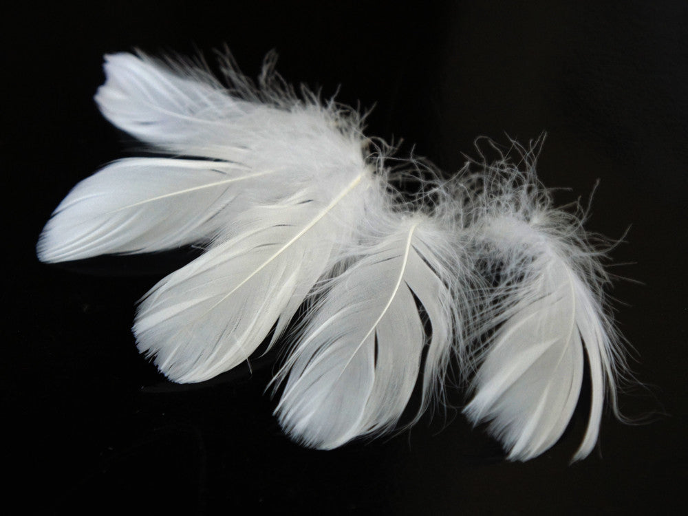 1/4 Lb - 2-3" White Goose Coquille Loose Wholesale Feathers (Bulk)