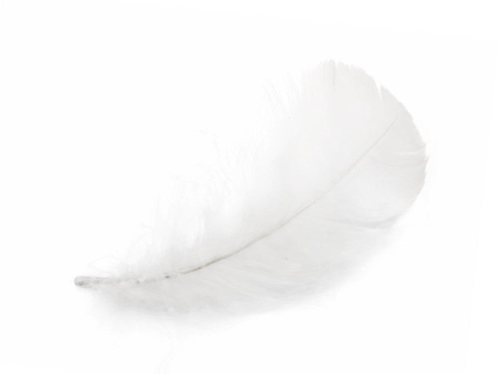 1/4 Lb - 2-3" White Goose Coquille Loose Wholesale Feathers (Bulk)
