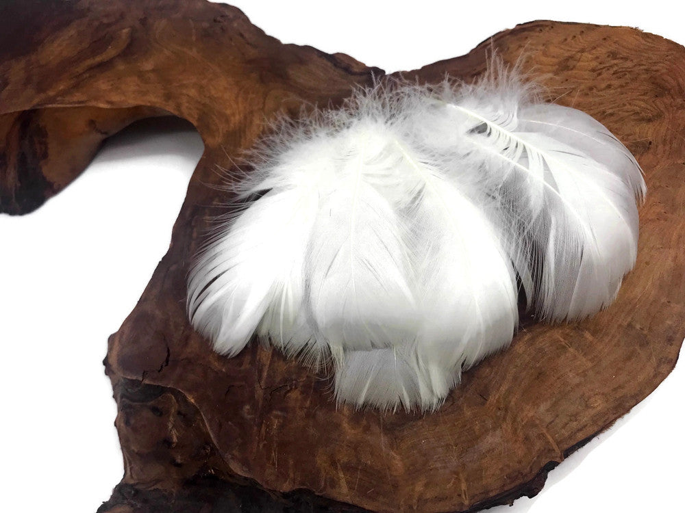 1/4 Lb - 2-3" White Goose Coquille Loose Wholesale Feathers (Bulk)