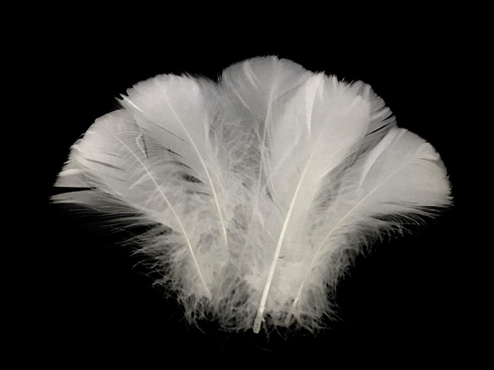 1 Pack - 2-3" White Goose Coquille Loose Feathers - 0.35 Oz.