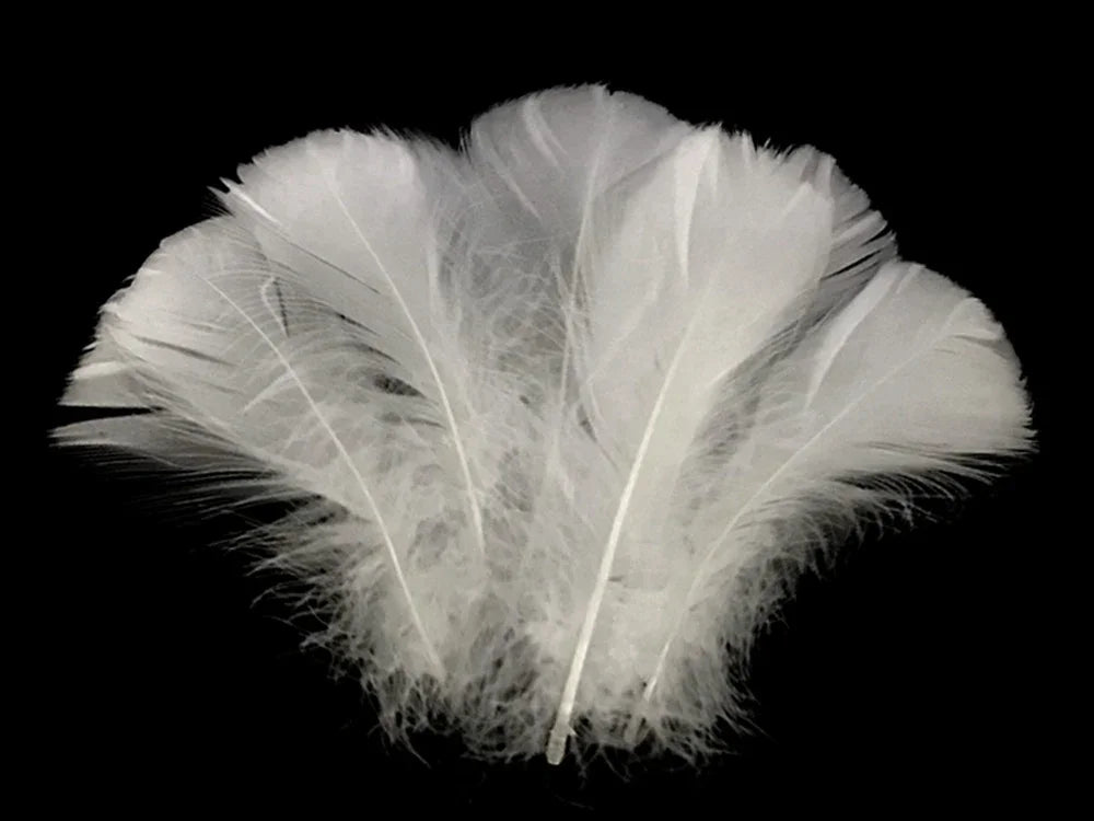 Soft white ostrich feathers for DIY crafts and fashion decor against a black background.