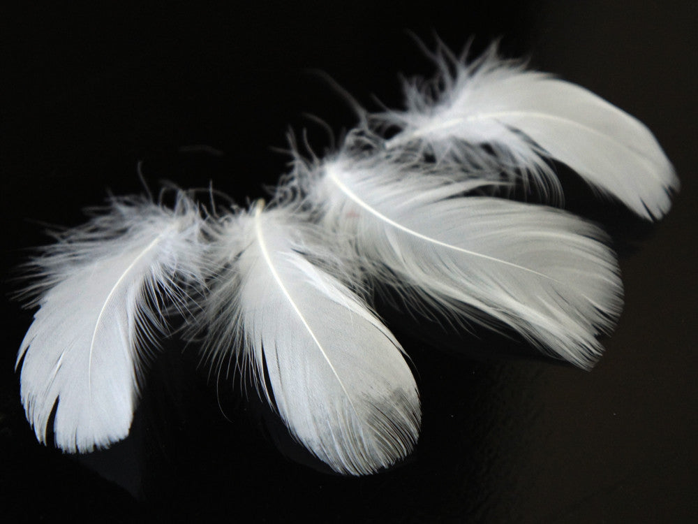 1/4 Lb - 2-3" White Goose Coquille Loose Wholesale Feathers (Bulk)
