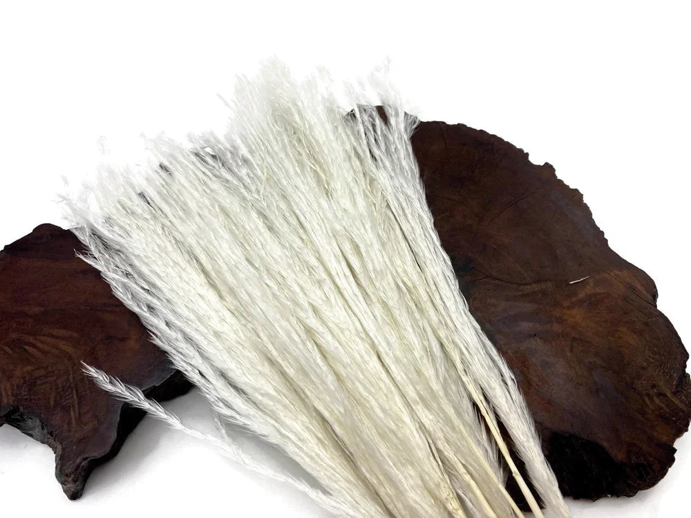 Dried white pampas grass stems for boho home décor and DIY crafts on a dark wood base.