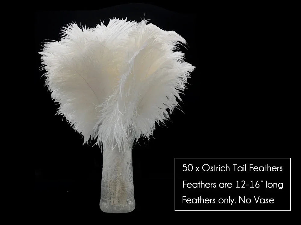 Bundle of 50 white ostrich tail feathers for DIY crafts and decor.