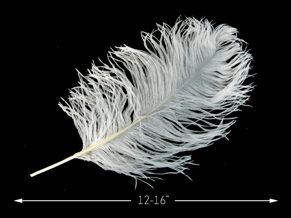 10 Pieces - 12-16" Snow White Dyed Ostrich Tail Fancy Feathers