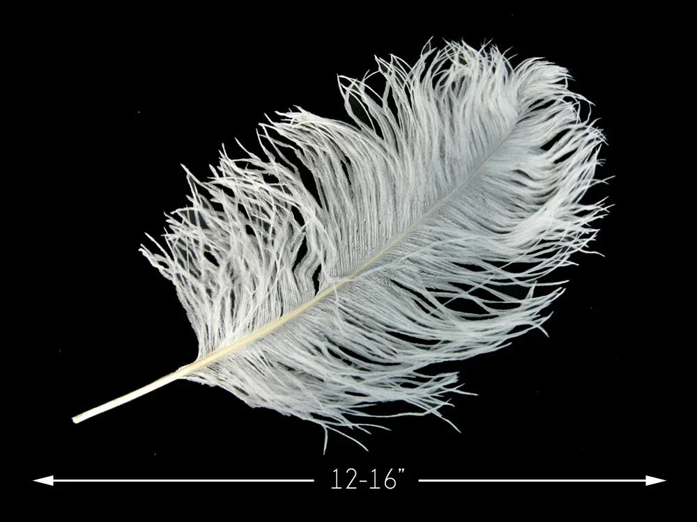 Large white ostrich feather for crafts and fashion decor, 12-16 inches long.