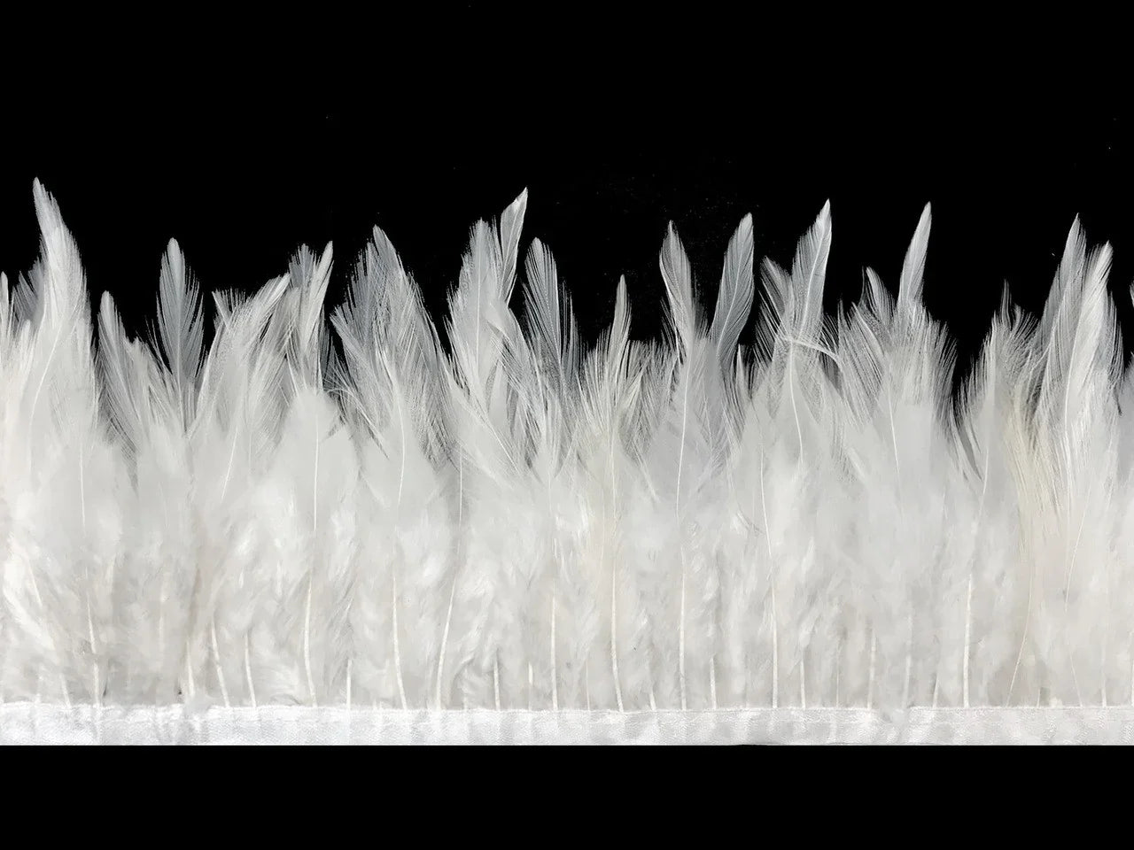 White fluffy feather trim border for fashion and DIY crafts on a black background.