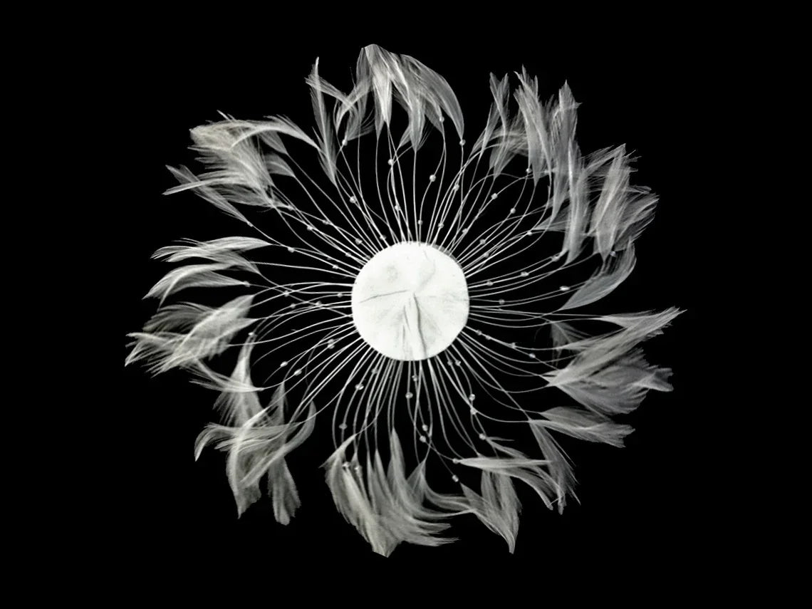Elegant white feather floral arrangement with delicate stems on a black background.