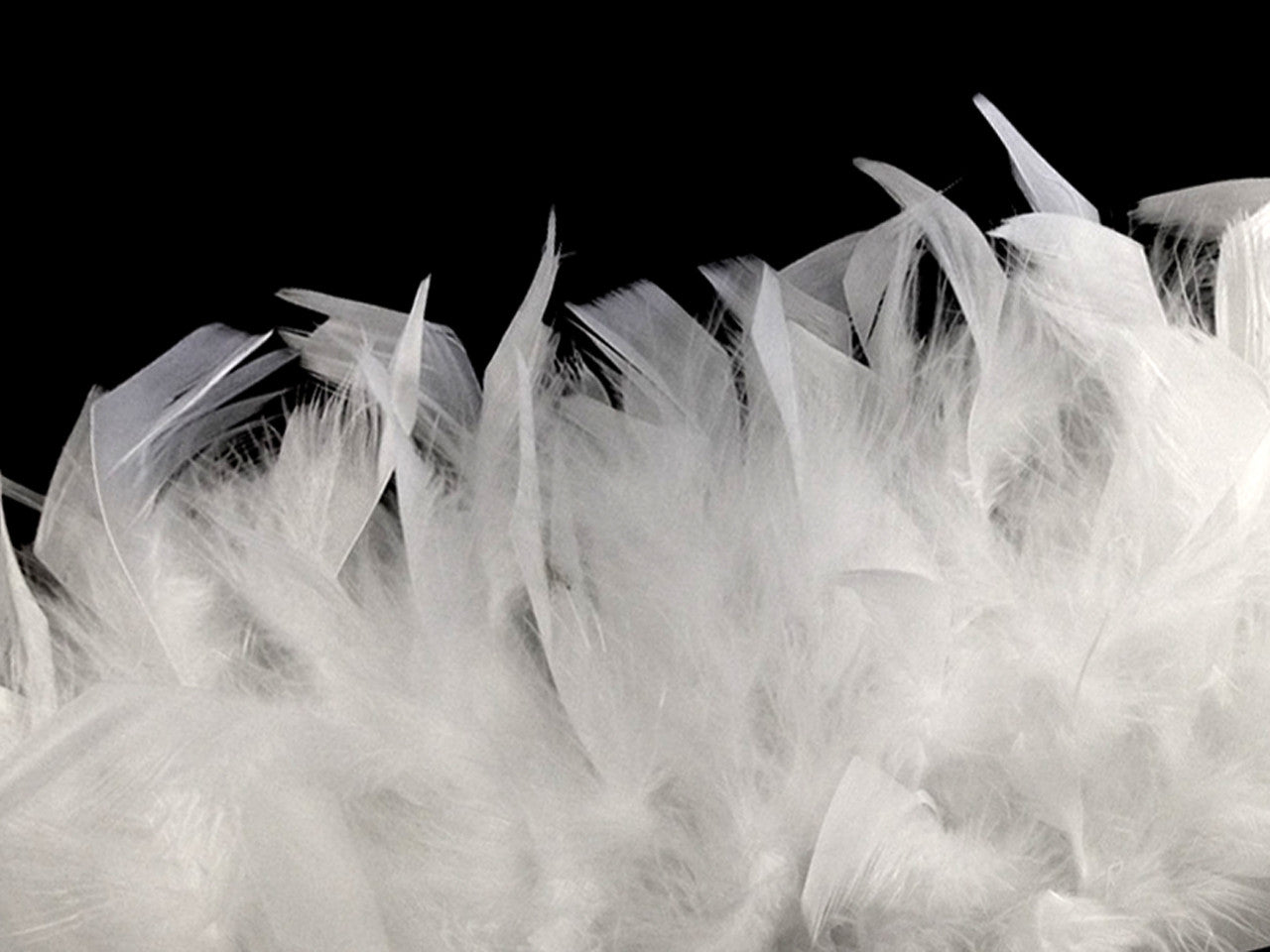 1 Yard - White Chandelle Turkey Fluffy Feather Trim