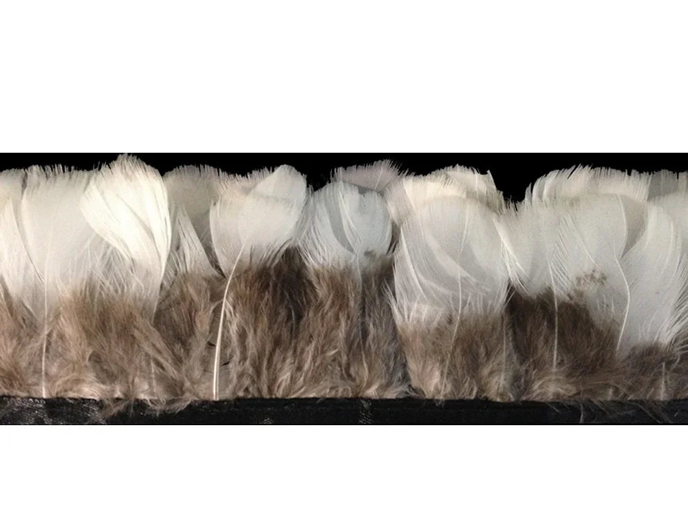 Natural white and brown variegated feathers trim for DIY crafts and fashion decor.