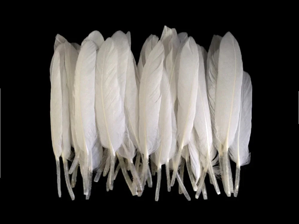 A collection of soft white craft feathers arranged against a black background.