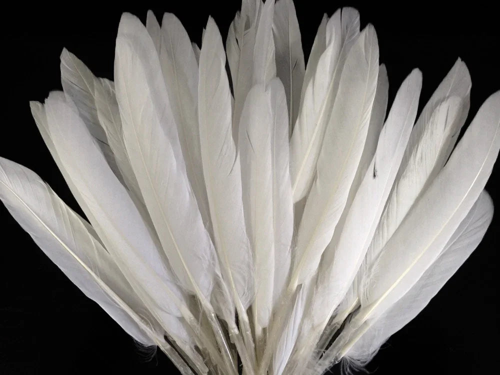 A fan of long, elegant white feathers against a solid black background.