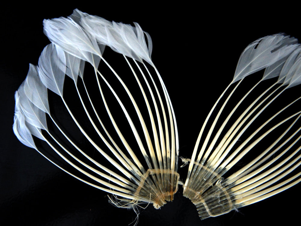 1 Piece - Bleached White Stripped Duck Cochette Center Fan Feather Pad