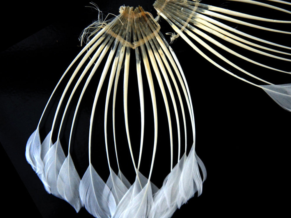 1 Piece - Bleached White Stripped Duck Cochette Center Fan Feather Pad