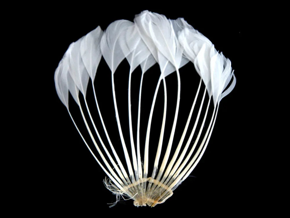 Elegant white feather fan accessory for crafts and fashion decor on a black background.