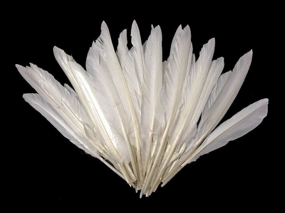 1 Pack - White Duck Primary Wing Pointer Feathers 0.50 Oz.