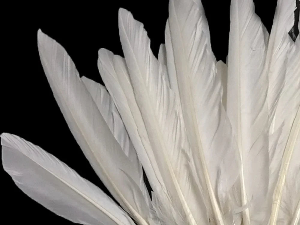1/4 lbs. - White Duck Pointer Primary Wing Wholesale Feathers (Bulk)