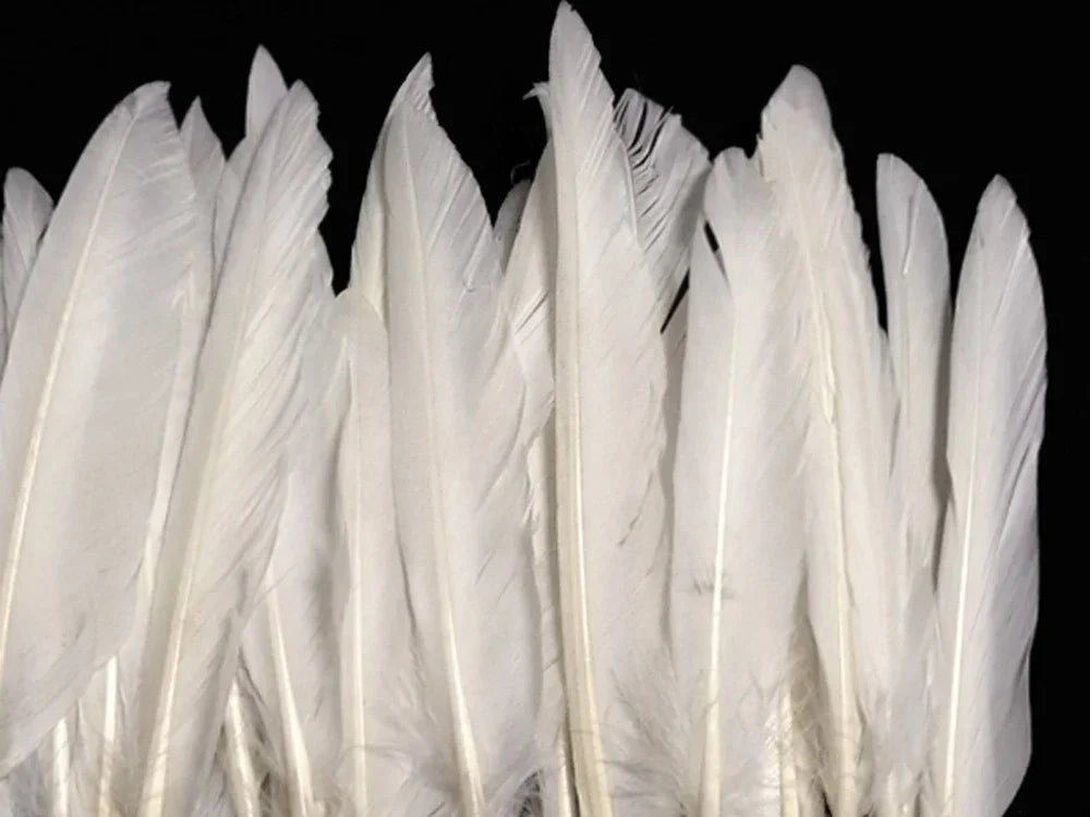 1 Pack - White Duck Primary Wing Pointer Feathers 0.50 Oz.