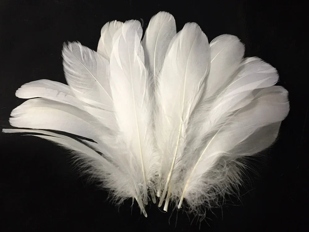 Soft white feathers for DIY crafts, fashion accessories, and decorative DIY supplies.