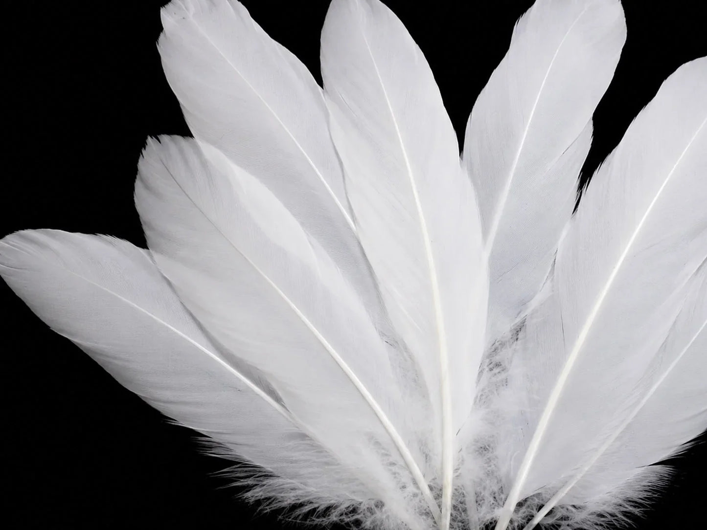 1 Pack - White Goose Satinettes Pallet Soft Wing Quill Loose Feathers - 0.3 Oz