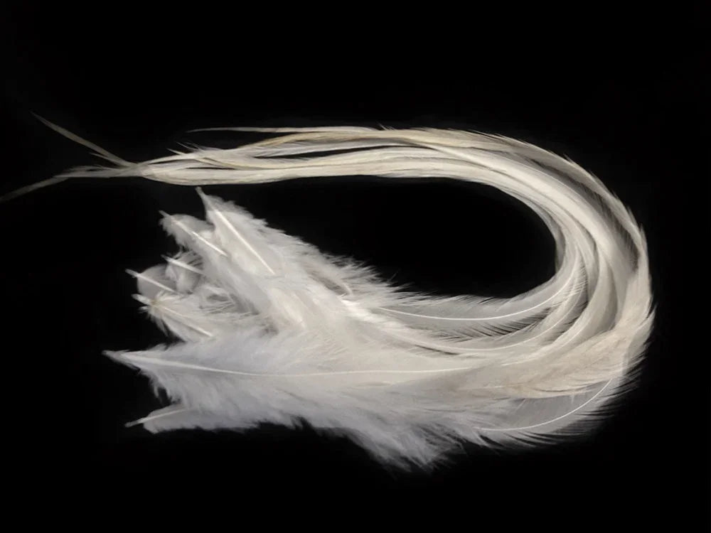 Elegant long white feathers for DIY crafts and fashion decor on a black background.