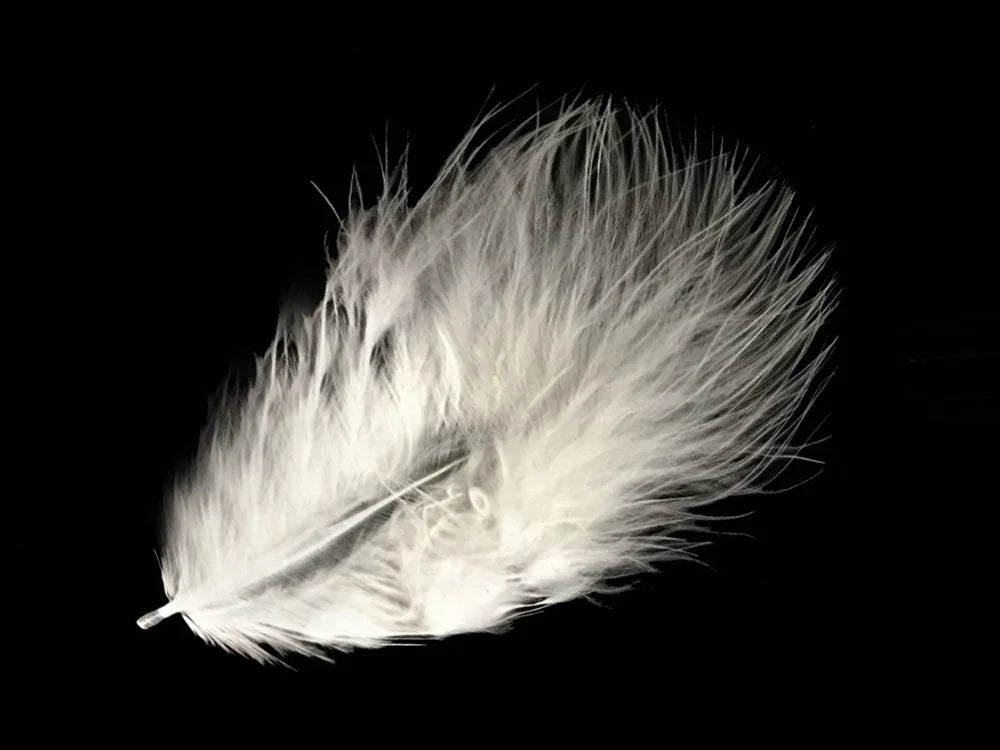 Fluffy white decorative feather for DIY crafts and fashion accessories on a black background.