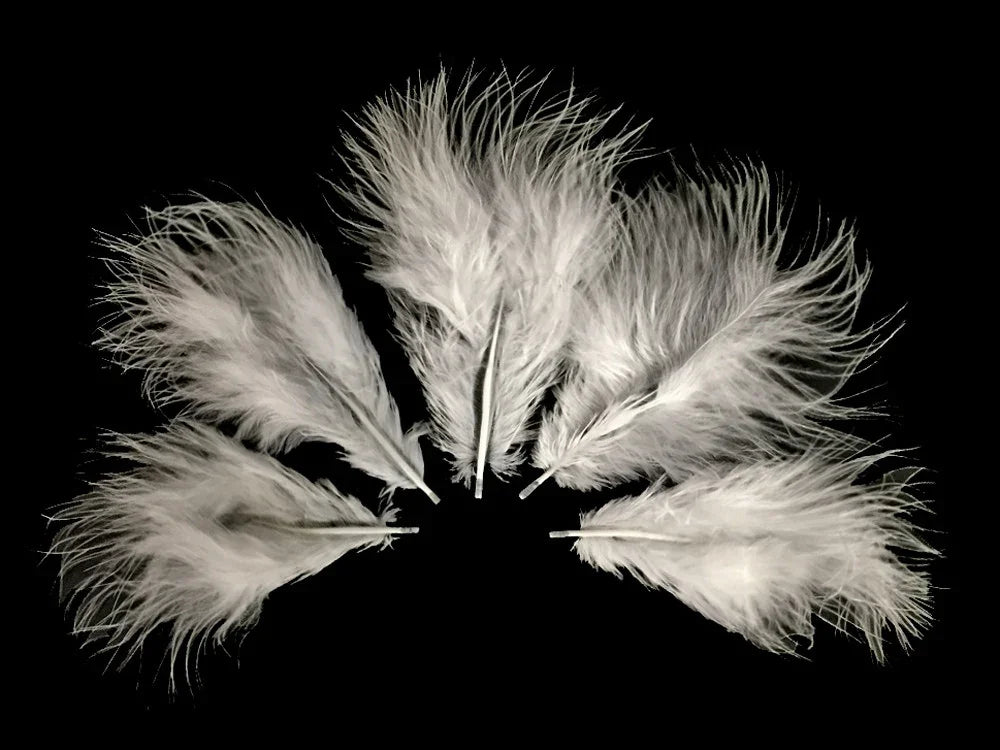 Five soft white decorative feathers arranged in a fan shape on a black background.