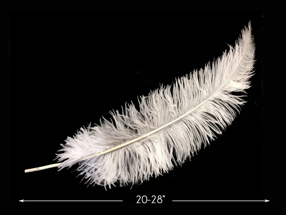Large white ostrich feather for crafts and fashion decor, 20-28 inches long.