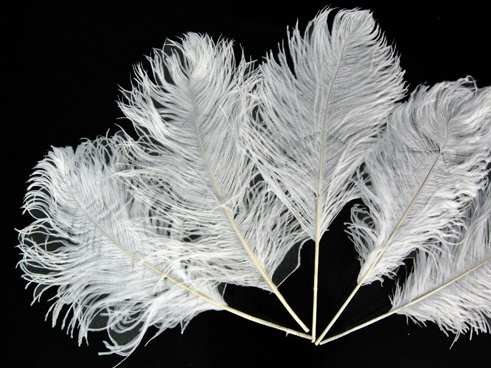 10 Pieces - 12-16" Snow White Dyed Ostrich Tail Fancy Feathers