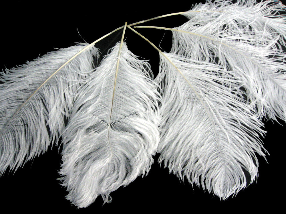 10 Pieces - 12-16" Snow White Dyed Ostrich Tail Fancy Feathers