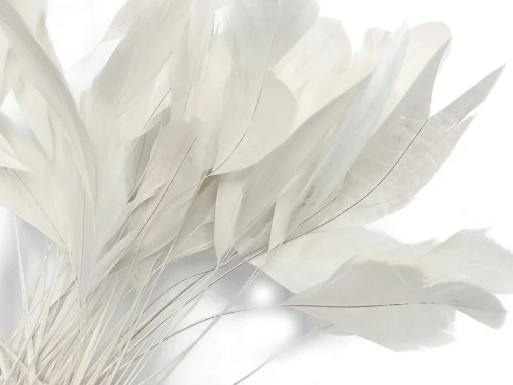 Soft white natural feathers for DIY crafts, fashion, and decorative accessories.