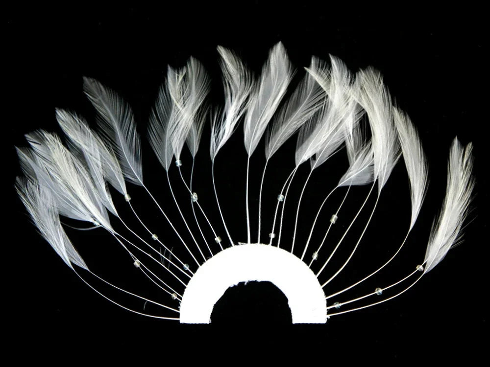 White decorative feathers arranged in a semi-circle fan shape on a black background.