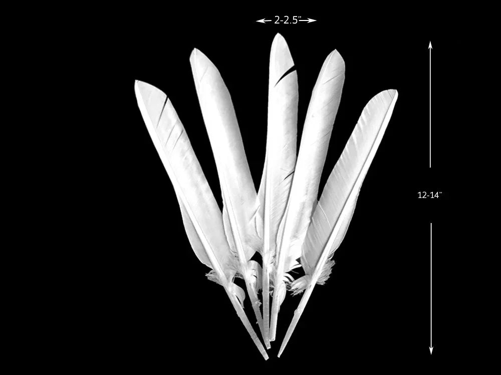 Five long white feathers, 12-14 inches in length, for DIY crafts and fashion decor.