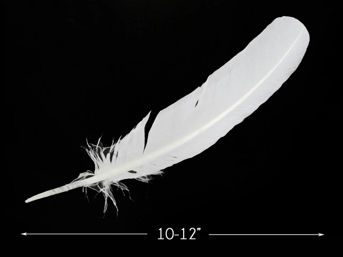 Single large white feather for crafts and DIY decor, 10-12 inches long.