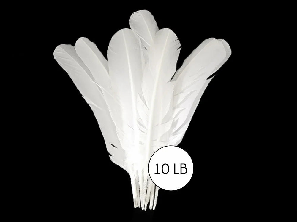 Bundle of long white feathers for crafts and fashion decor against a black background.