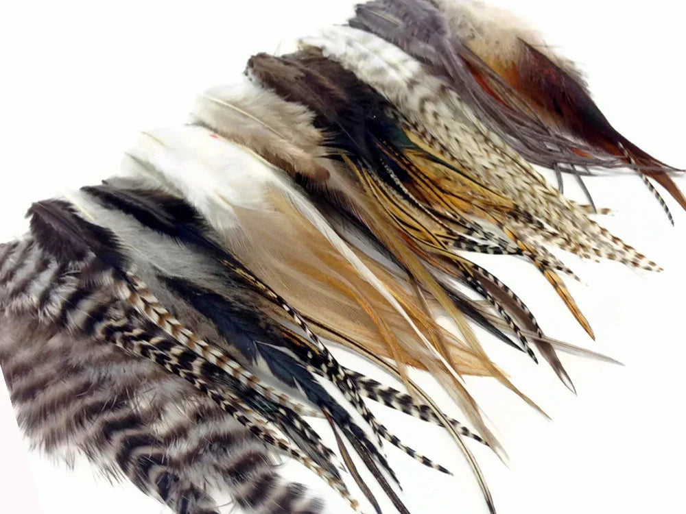 Assorted natural craft feathers in various colors and patterns for DIY fashion and decor.