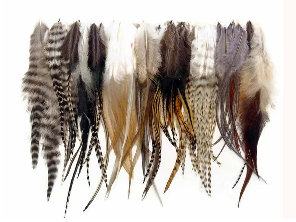 Assorted natural craft feathers in various colors and patterns for DIY fashion and decor.