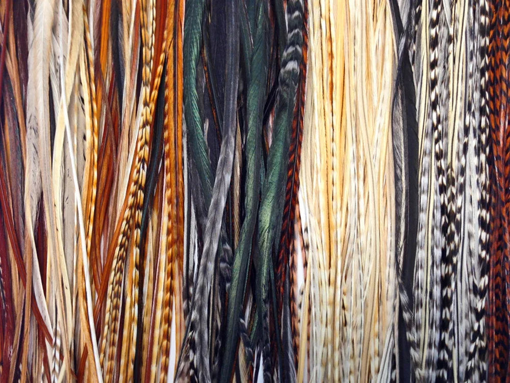 Assorted colorful natural feathers in various patterns and textures for crafts and fashion.