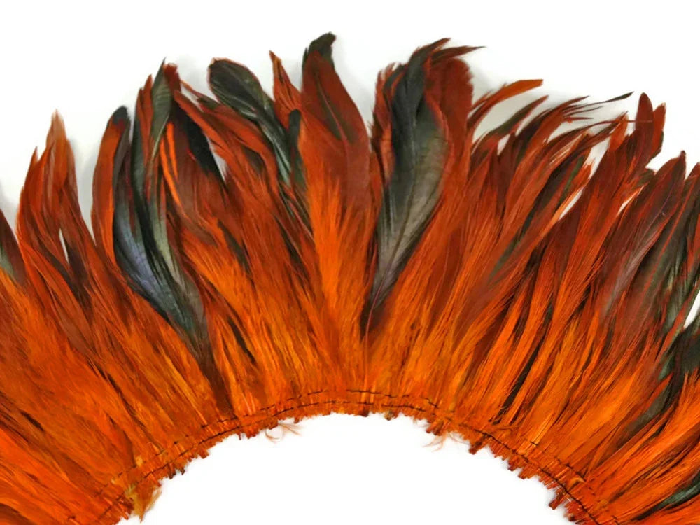 Vibrant orange and dark iridescent feathers arranged in a decorative fringe for crafts.