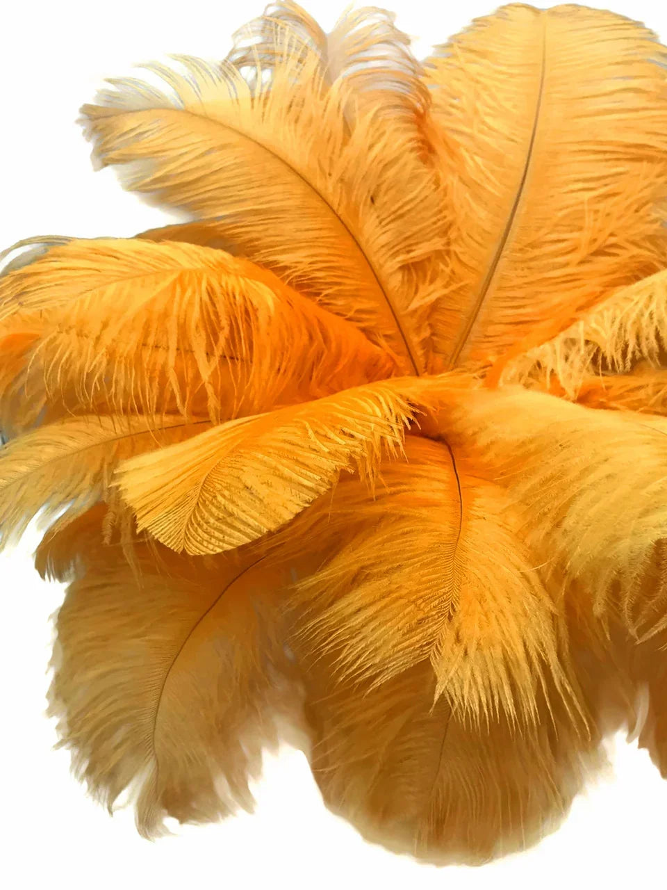 Vibrant yellow ostrich feathers for DIY crafts and fashion decor.