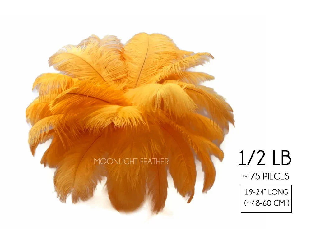 Bundle of 75 bright yellow ostrich feathers, 19-24 inches long, for crafts and fashion DIY.