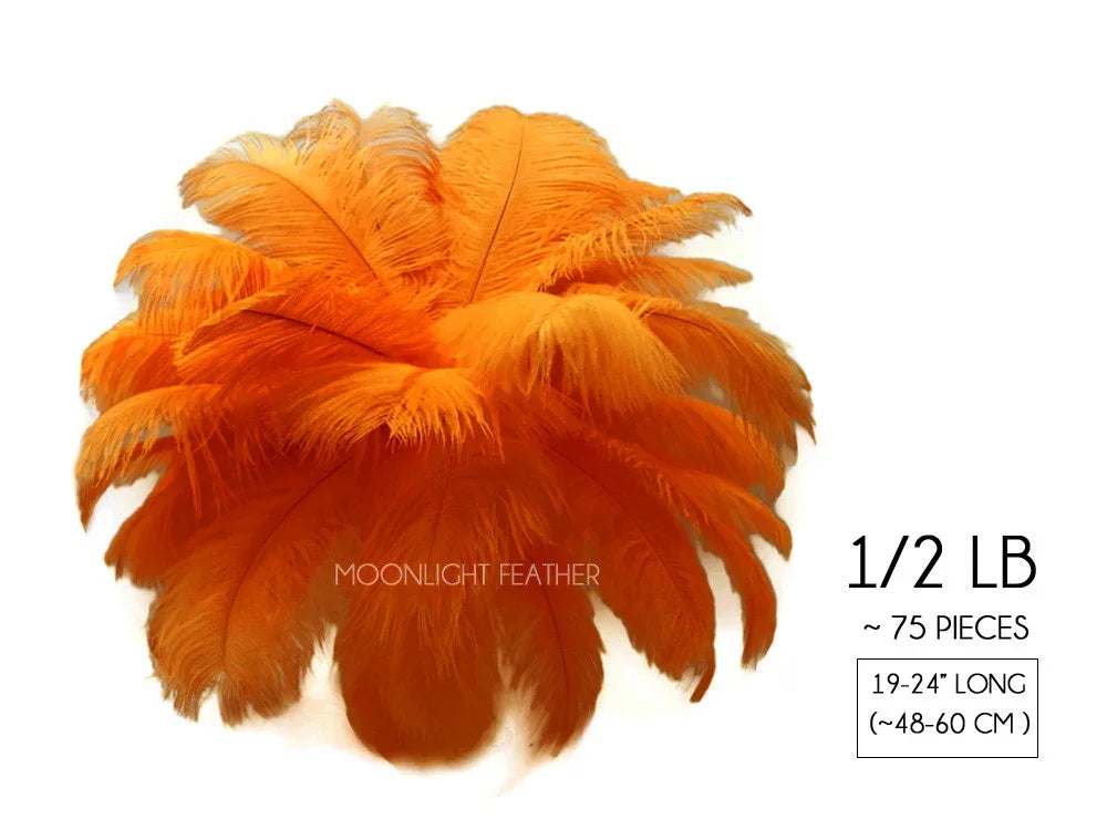Vibrant orange ostrich feathers for crafts and fashion decor, 75 pieces, 19-24 inches long.
