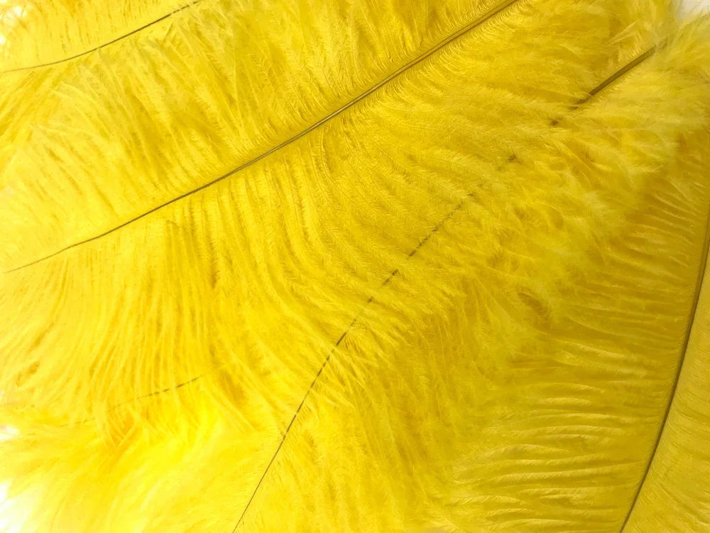 Vibrant bright yellow ostrich feathers for DIY crafts and fashion decor.