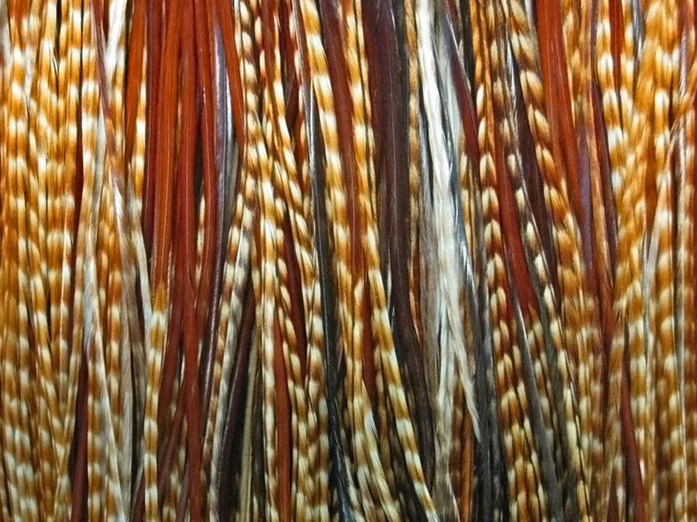 Assorted long decorative feathers in brown, tan, and white patterns for crafts and fashion.