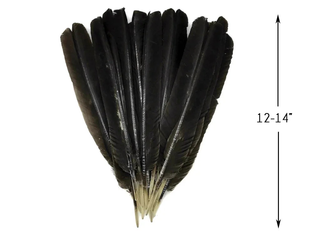 Set of long black natural feathers, 12-14 inches, for DIY crafts and fashion decor.