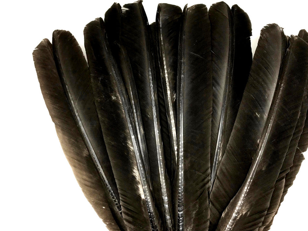 50 Pieces - Natural Brown Wild Tom Turkey Pulled Pointers Primary Wing Quill Wholesale Feathers (Bulk)