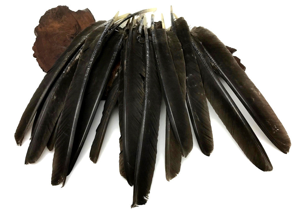 50 Pieces - Natural Brown Wild Tom Turkey Pulled Pointers Primary Wing Quill Wholesale Feathers (Bulk)
