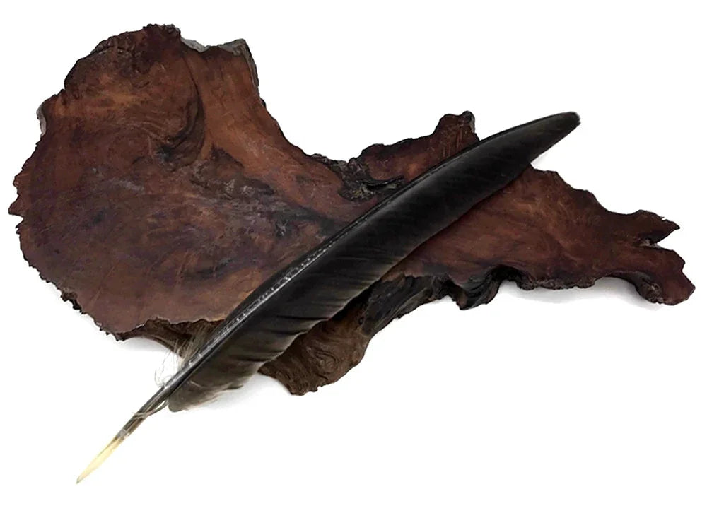 Long black decorative feather resting on a natural dark wood slice base.