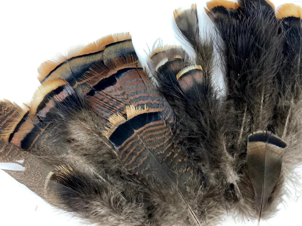Natural brown and black patterned feathers for DIY crafts and fashion decor.