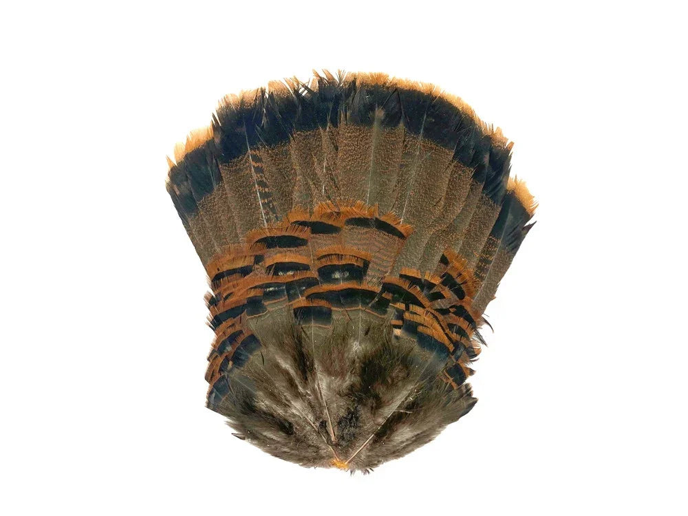 Natural brown and orange patterned feathers for crafts and fashion DIY supplies